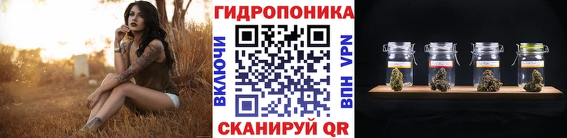 продажа наркотиков Александров МАРИХУАНА White Widow